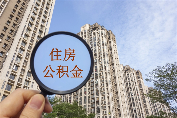 孟州辞职可以取住房公积金吗（我辞职了可以提取住房公积金吗）